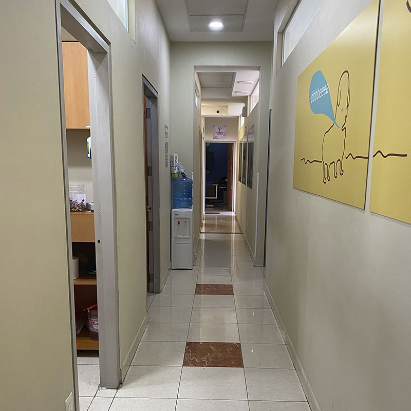 Consultorios Pediatricos Hospital Angeles Puebla Instalaciones
